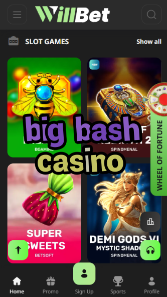 Big Bash Casino - Cricket-Themed Casino-www.bdqngd.com